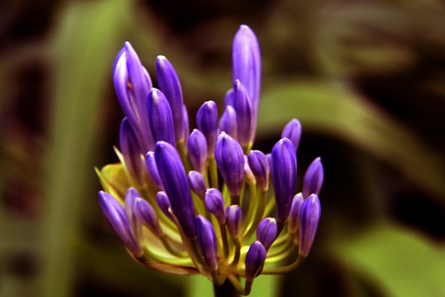 山东男篮如 山东男篮如