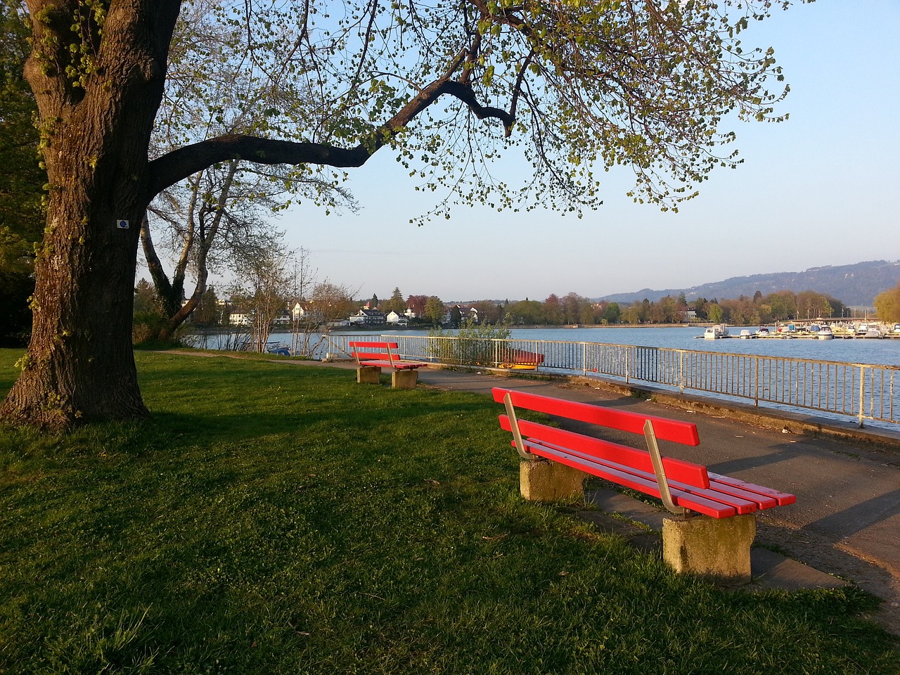 多特蒙德球 多特蒙德球