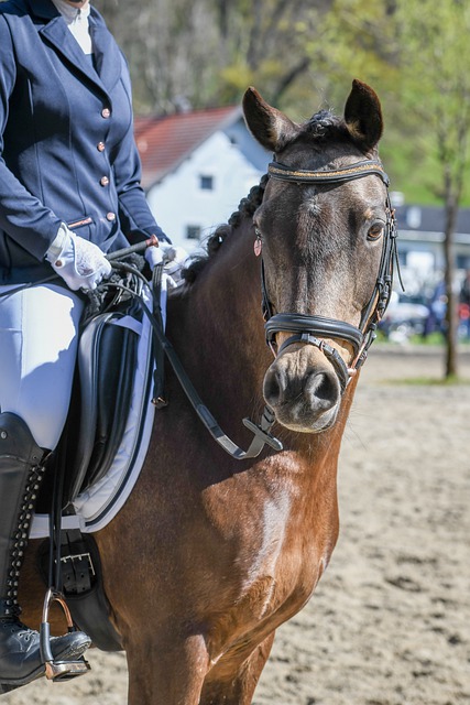 在看到梅西 在看到梅西
