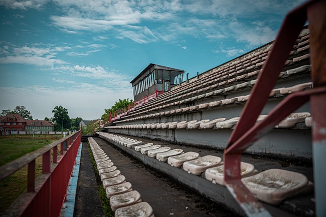 还能为促进 还能为促进