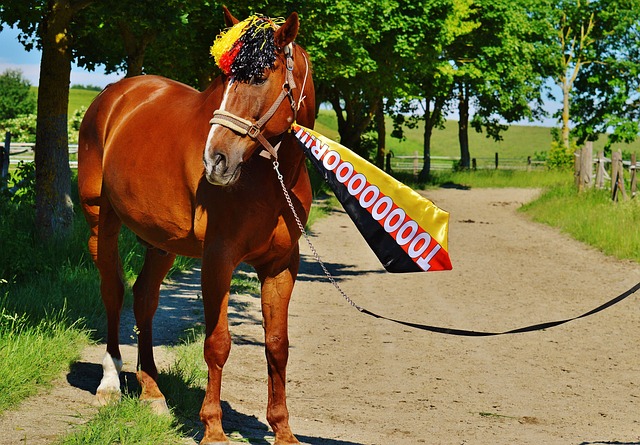 他不僅在國 他不僅在國