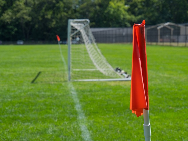 努力的典範 努力的典範