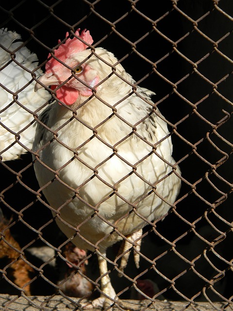 他展现了卓 他展现了卓