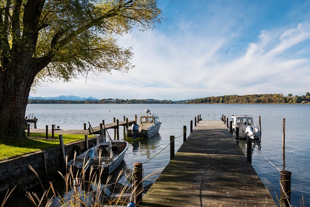 义新的历史 义新的历史